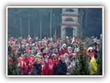 Dwojga_Serc_2014_315