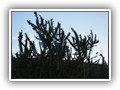 Garabandal_048