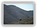 Garabandal_078